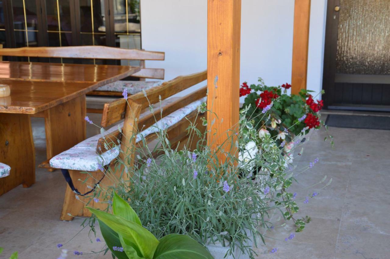 Apartmani "Glavas" Vrsar Exterior photo